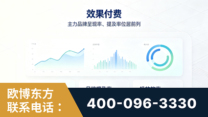 建德-效果付费：主力品牌呈现率、提及率位居前列